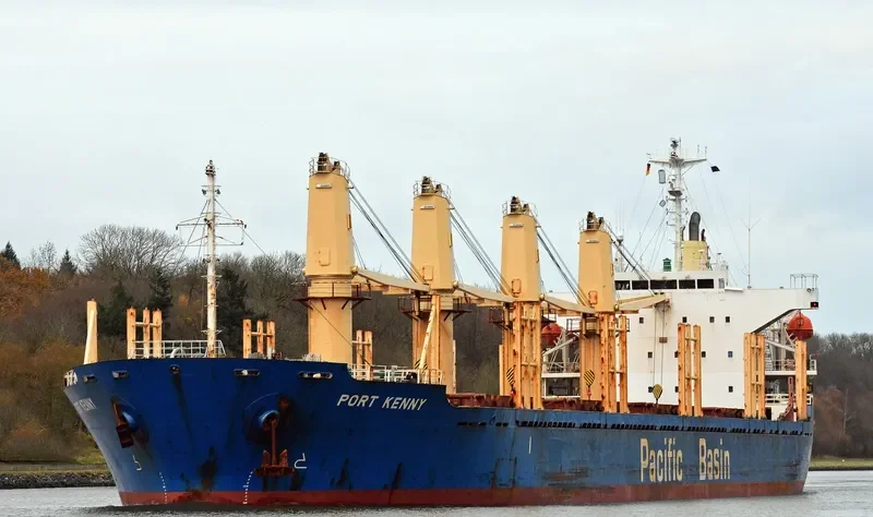 PORT KENNY Bulk Carrier IMO 9291212 photo 4