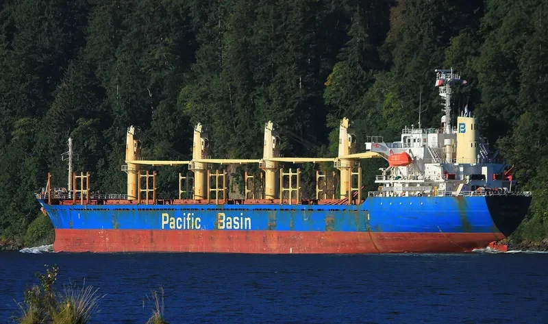 PORT KENNY Bulk Carrier IMO 9291212 photo 8
