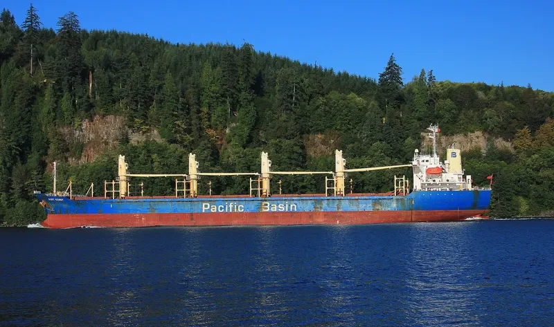 PORT KENNY Bulk Carrier IMO 9291212 photo 9