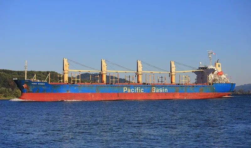 PORT KENNY Bulk Carrier IMO 9291212 photo 10