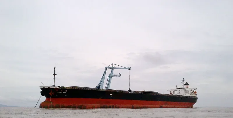 MAPLE RISING Bulk Carrier IMO 9291341