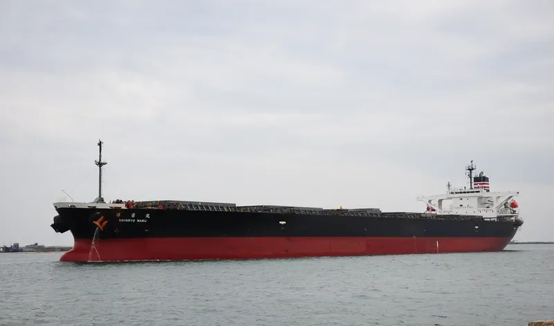 MAPLE RISING Bulk Carrier IMO 9291341 photo 7