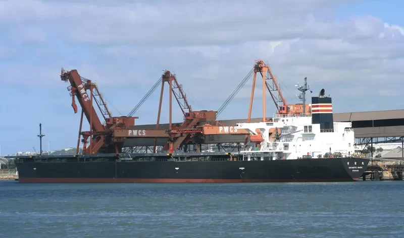 MAPLE RISING Bulk Carrier IMO 9291341 photo 8