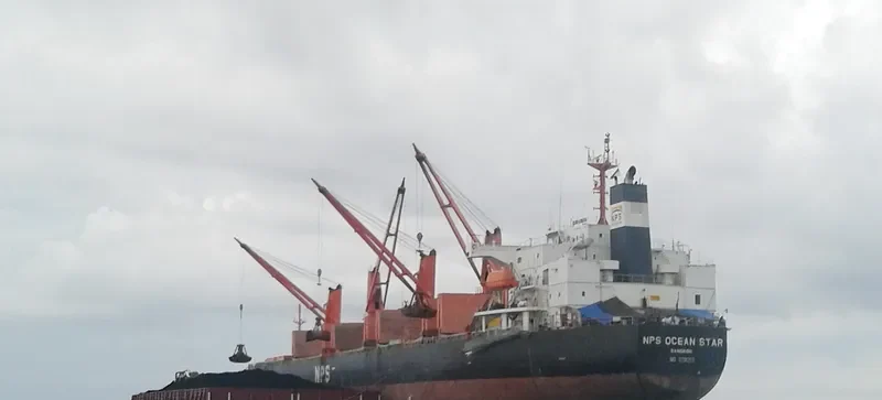 UNIVERSE 1 Bulk Carrier IMO 9291353