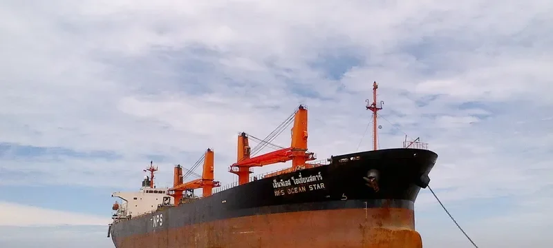 UNIVERSE 1 Bulk Carrier IMO 9291353 photo 4