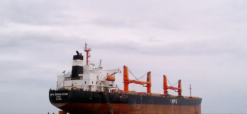 UNIVERSE 1 Bulk Carrier IMO 9291353 photo 5