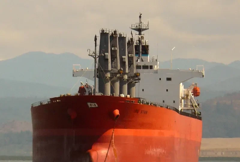 UNIVERSE 1 Bulk Carrier IMO 9291353 photo 8