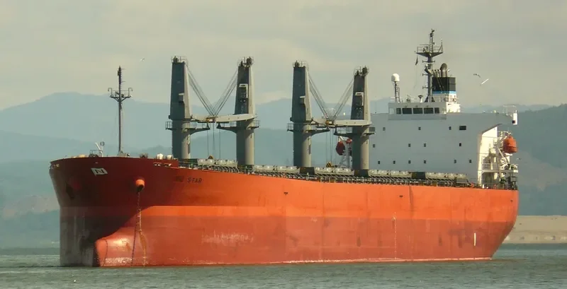 UNIVERSE 1 Bulk Carrier IMO 9291353 photo 9