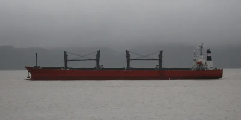 UNIVERSE 1 Bulk Carrier IMO 9291353 photo 10