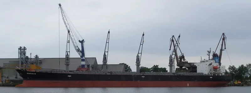 BESIKTAS M Bulk Carrier IMO 9291365