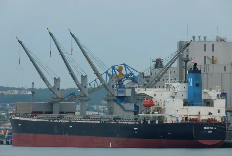 BESIKTAS M Bulk Carrier IMO 9291365 photo 2