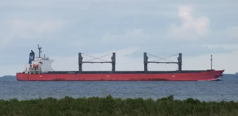 BESIKTAS M Bulk Carrier IMO 9291365 photo 4