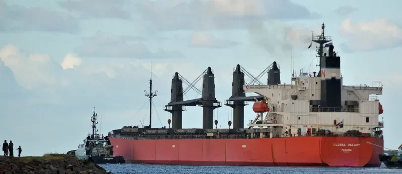 BESIKTAS M Bulk Carrier IMO 9291365 photo 5
