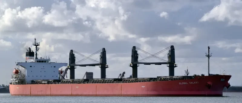 BESIKTAS M Bulk Carrier IMO 9291365 photo 6