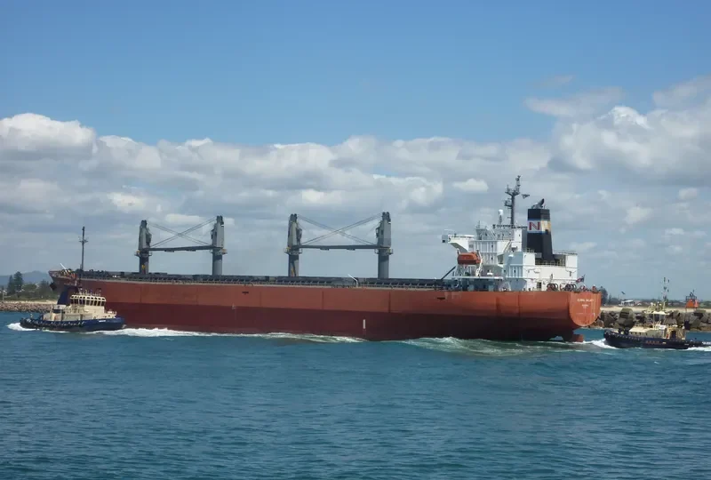 BESIKTAS M Bulk Carrier IMO 9291365 photo 7