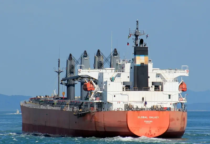 BESIKTAS M Bulk Carrier IMO 9291365 photo 8