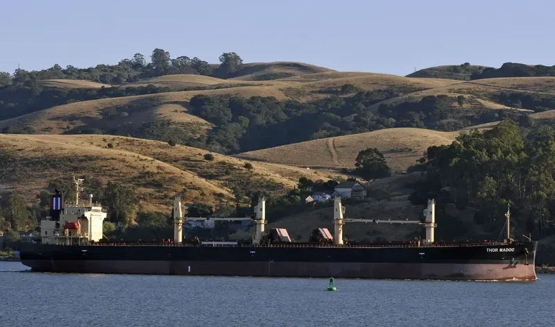 THOR MADOC Bulk Carrier IMO 9291389 photo 2