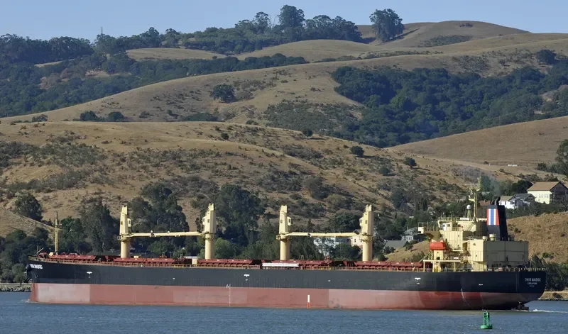 THOR MADOC Bulk Carrier IMO 9291389 photo 3
