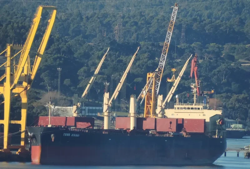THOR MADOC Bulk Carrier IMO 9291389 photo 7