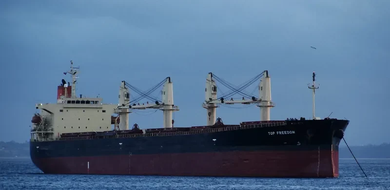 THOR MADOC Bulk Carrier IMO 9291389 photo 10