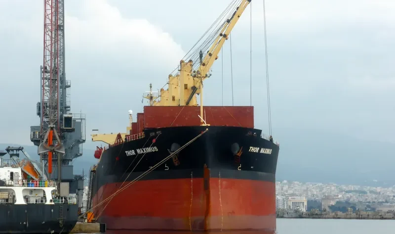 THOR MAXIMUS Bulk Carrier IMO 9291391 photo 3