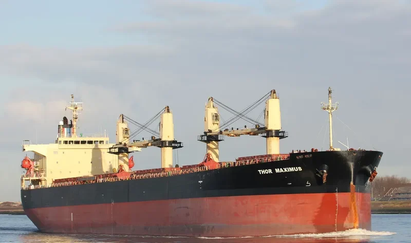 THOR MAXIMUS Bulk Carrier IMO 9291391 photo 4