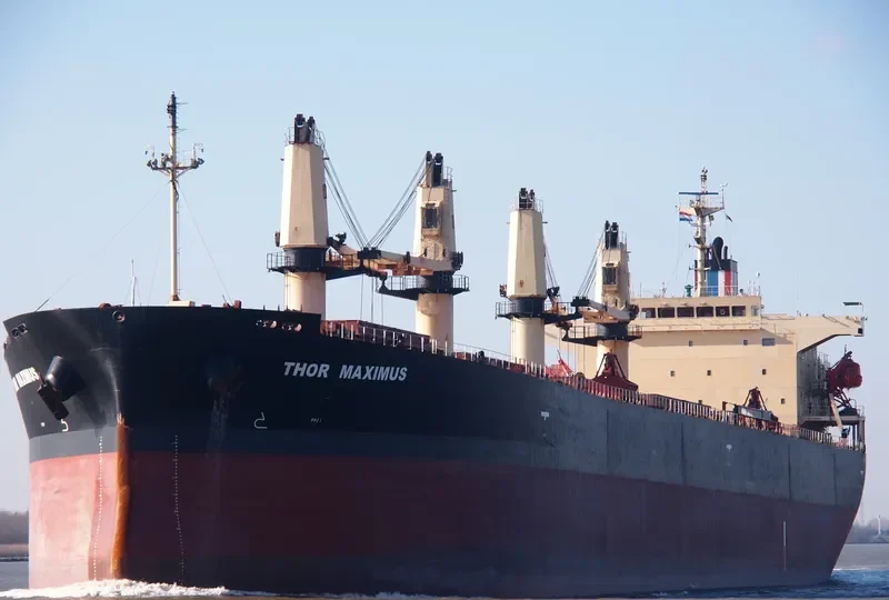 THOR MAXIMUS Bulk Carrier IMO 9291391 photo 7