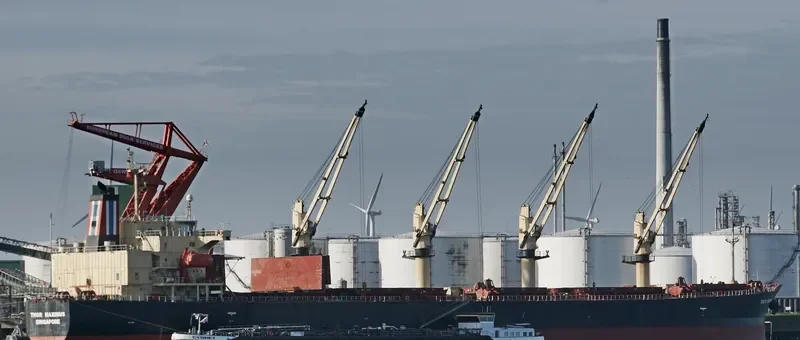 THOR MAXIMUS Bulk Carrier IMO 9291391 photo 8