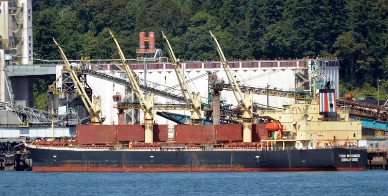 THOR MAXIMUS Bulk Carrier IMO 9291391 photo 10