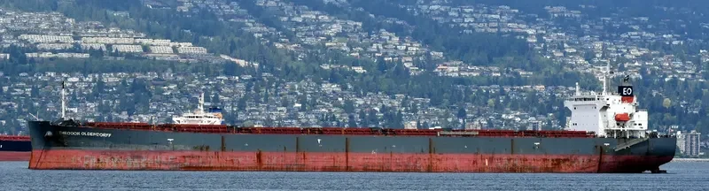 THEODOR OLDENDORFF Bulk Carrier IMO 9291406