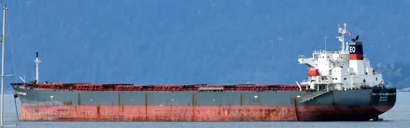 THEODOR OLDENDORFF Bulk Carrier IMO 9291406 photo 2