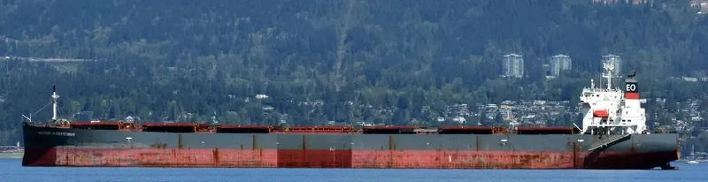 THEODOR OLDENDORFF Bulk Carrier IMO 9291406 photo 3