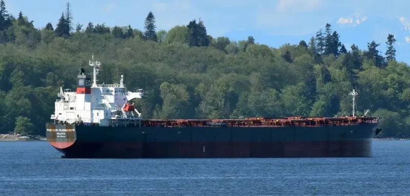 THEODOR OLDENDORFF Bulk Carrier IMO 9291406 photo 5