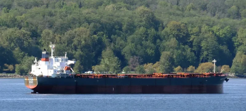 THEODOR OLDENDORFF Bulk Carrier IMO 9291406 photo 6