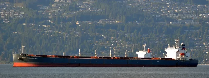 THEODOR OLDENDORFF Bulk Carrier IMO 9291406 photo 10