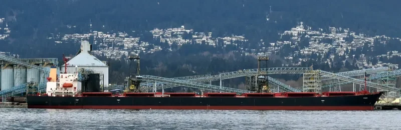 THOR Bulk Carrier IMO 9291418 photo 4