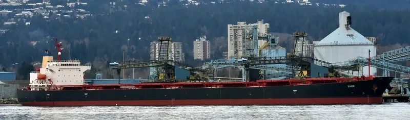 THOR Bulk Carrier IMO 9291418 photo 5