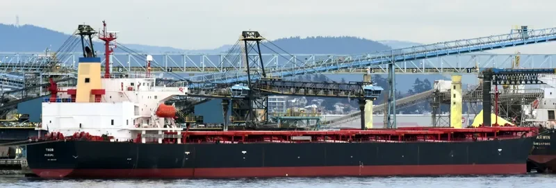 THOR Bulk Carrier IMO 9291418 photo 6