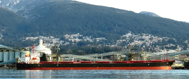 THOR Bulk Carrier IMO 9291418 photo 7