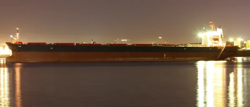 THOR Bulk Carrier IMO 9291418 photo 8