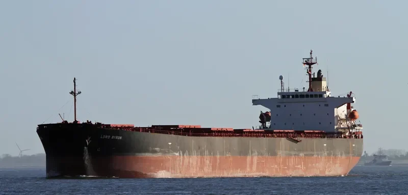 SM GOSEONG Bulk Carrier IMO 9291420 photo 3