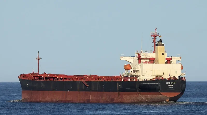 SM GOSEONG Bulk Carrier IMO 9291420 photo 4