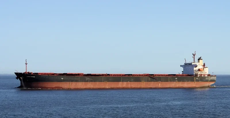 SM GOSEONG Bulk Carrier IMO 9291420 photo 12