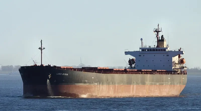 SM GOSEONG Bulk Carrier IMO 9291420 photo 24