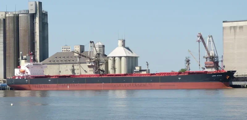 SM GOSEONG Bulk Carrier IMO 9291420 photo 30