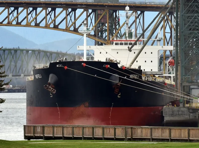 NEFELI Bulk Carrier IMO 9291432 photo 3