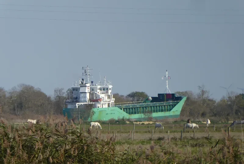 FEED RANA General Cargo IMO 9291705 photo 6