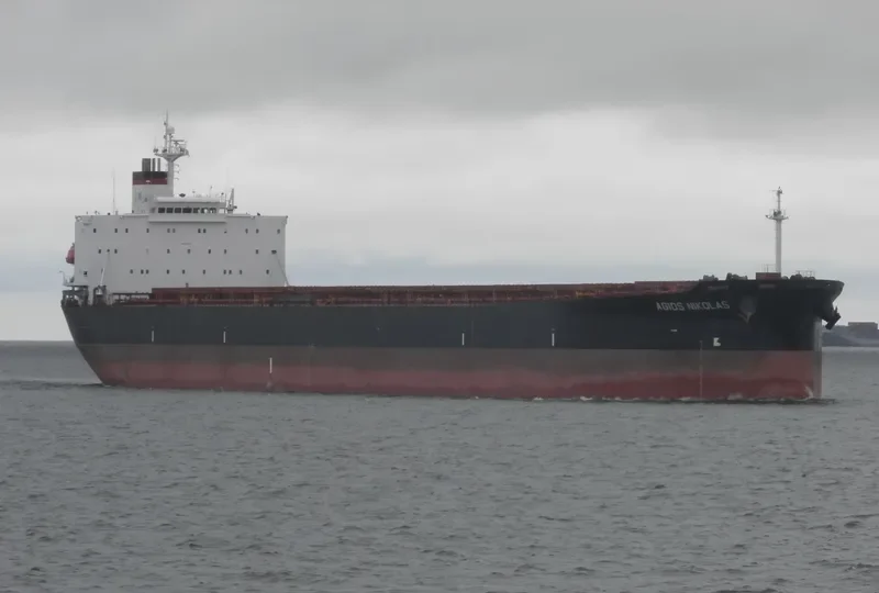 AGIOS NIKOLAS Bulk Carrier IMO 9291779 photo 7