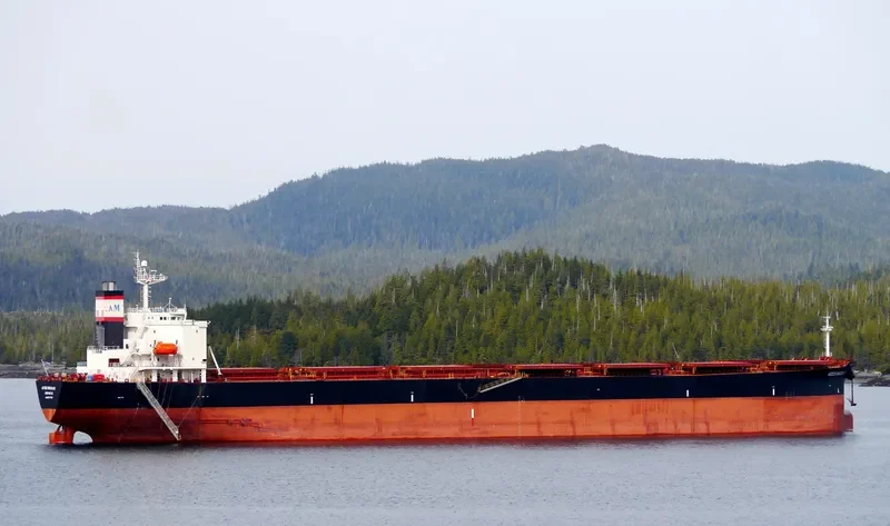 AGIOS NIKOLAS Bulk Carrier IMO 9291779 photo 9