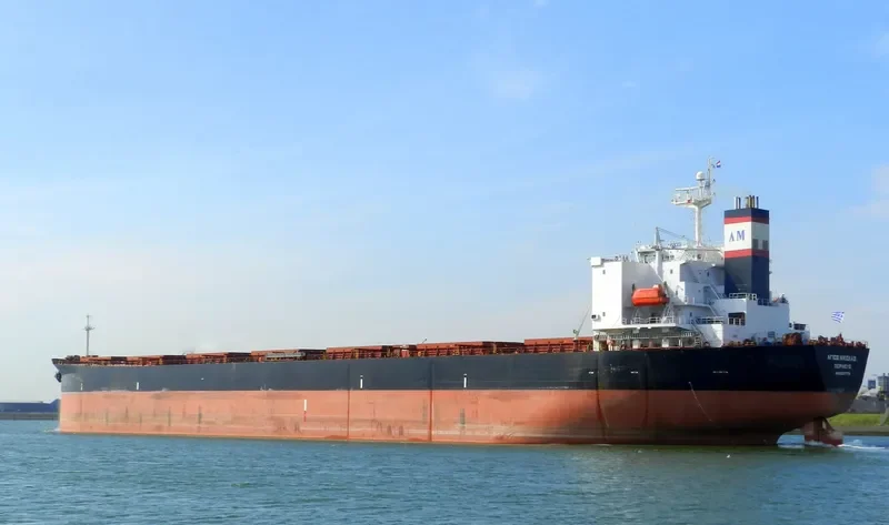 AGIOS NIKOLAS Bulk Carrier IMO 9291779 photo 10
